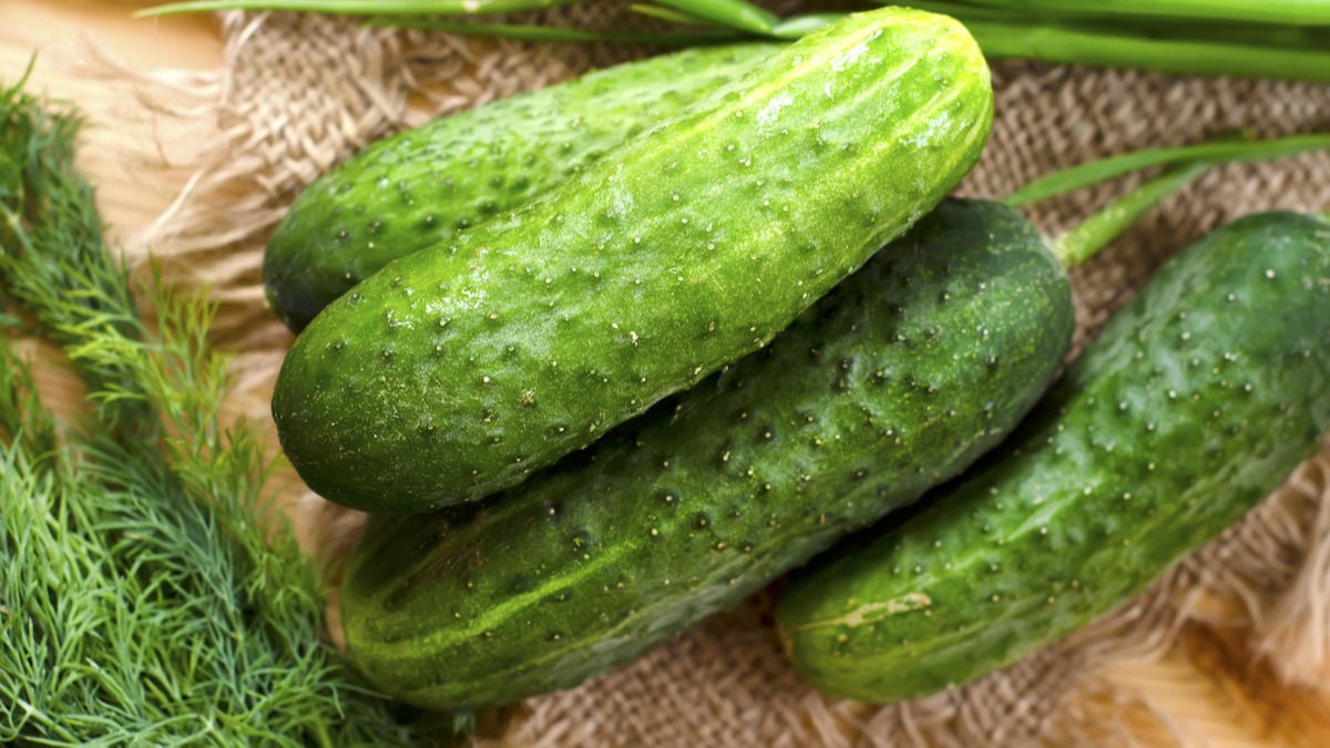 Pagtanim ng Cucumber Kasamang: 7 Mga Halaman na Kasamang Pipino